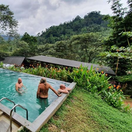 Sinharaja Forest Gate Deniyaya Luaran gambar