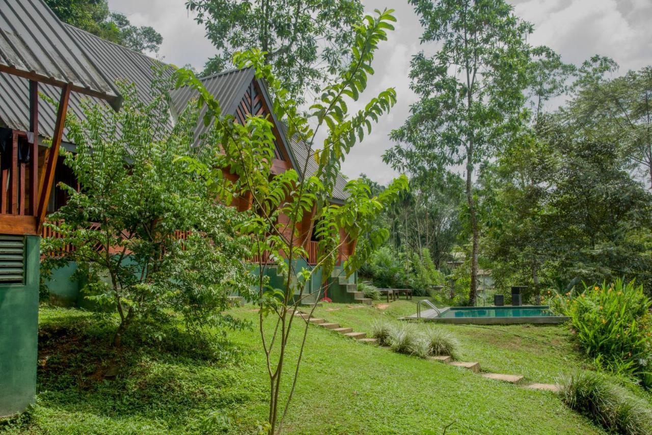 Sinharaja Forest Gate Deniyaya Luaran gambar