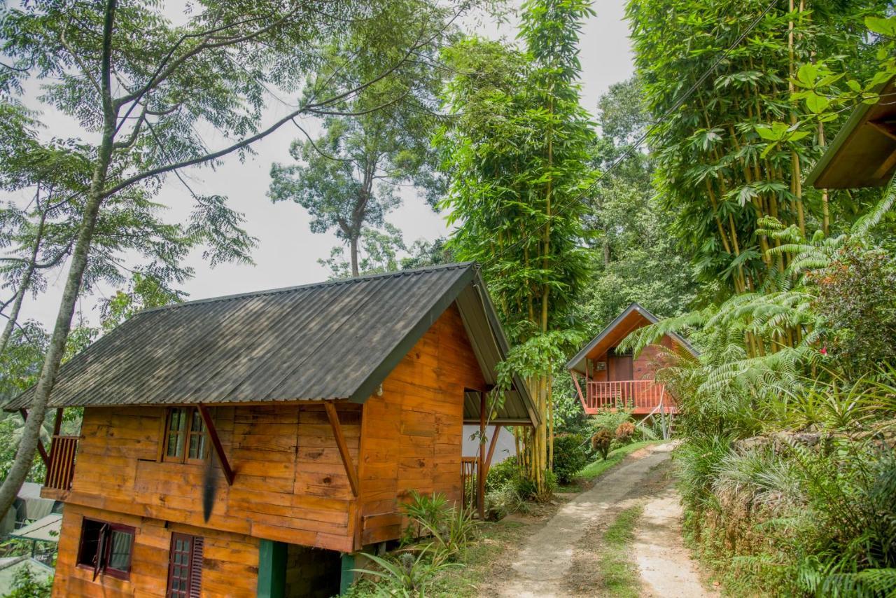 Sinharaja Forest Gate Deniyaya Luaran gambar