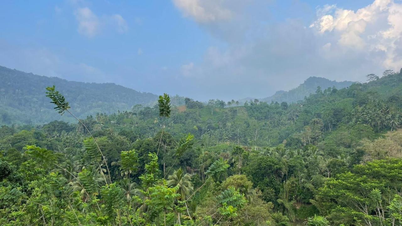 Sinharaja Forest Gate Deniyaya Luaran gambar