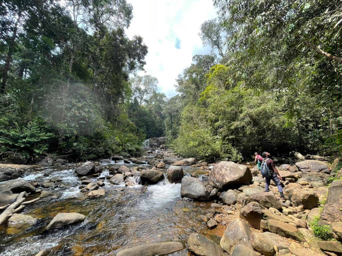 Sinharaja Forest Gate Deniyaya Luaran gambar