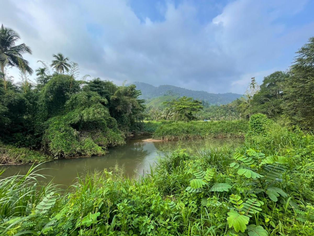 Sinharaja Forest Gate Deniyaya Luaran gambar