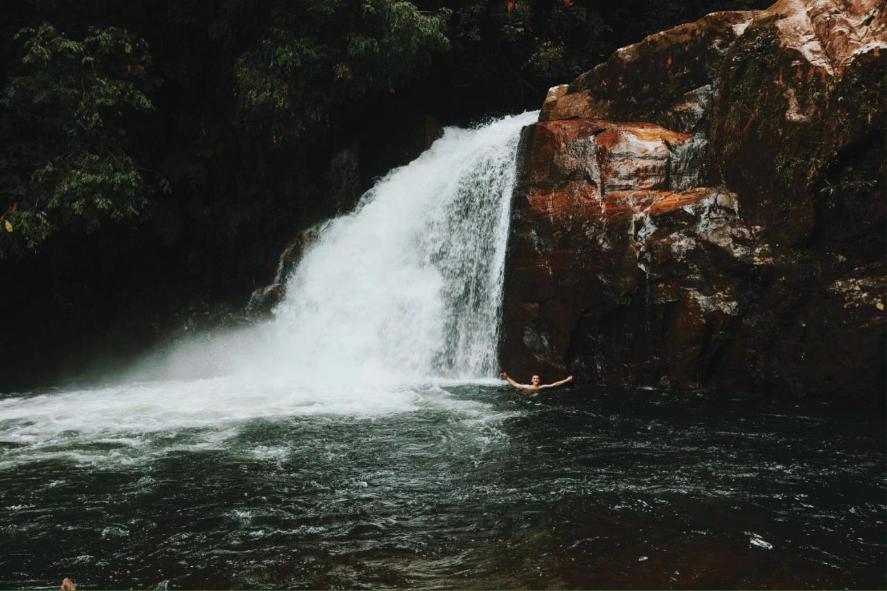 Sinharaja Forest Gate Deniyaya Luaran gambar