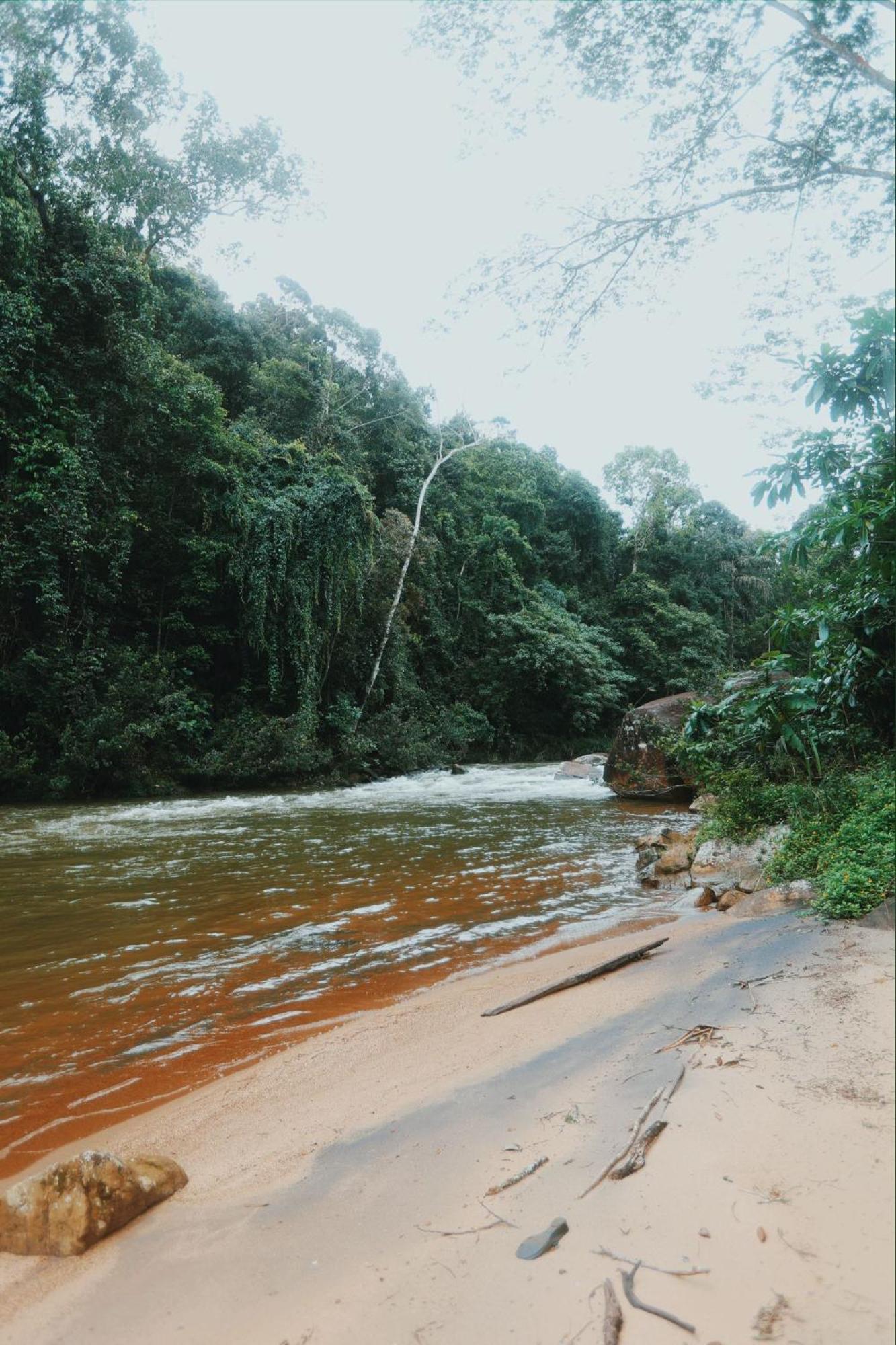 Sinharaja Forest Gate Deniyaya Luaran gambar