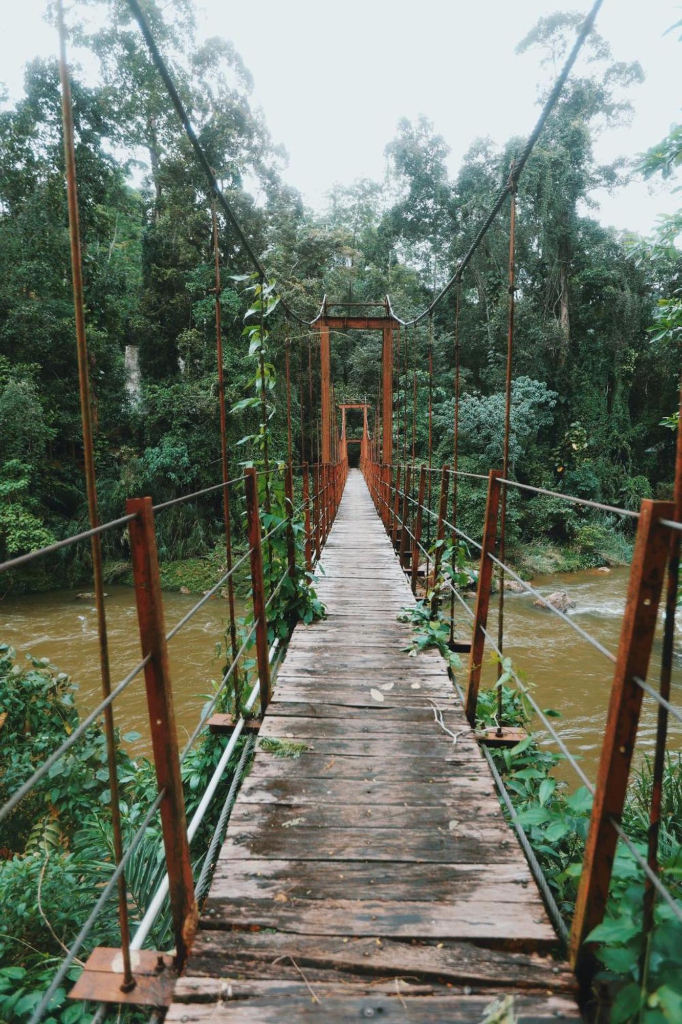 Sinharaja Forest Gate Deniyaya Luaran gambar